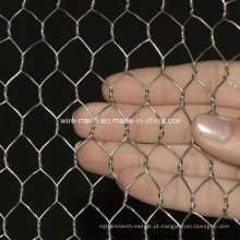 Galvanização galvanizada elétrica Hexagonal Wire Mesh